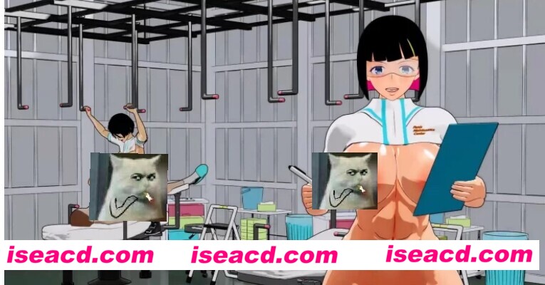 【3D动画】Damitrine 作品：巨乳护士~男杏杏功能检查日 (1+2) 41分钟 [2V]【1.2G】