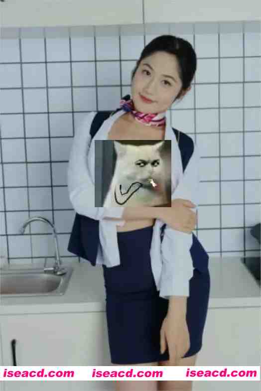 [写真/合集] 国模雪桃 onlyfans赞助作品：空姐 [660P] [300M]