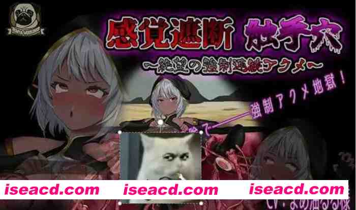 [日式SLG/AI汉化/全动态] 感官剥夺触手浦西～绝望的强制连续高潮～/感覚遮断触手浦西～絶望の強制連続アクメ～ AI汉化版 [600M/新作/CV]