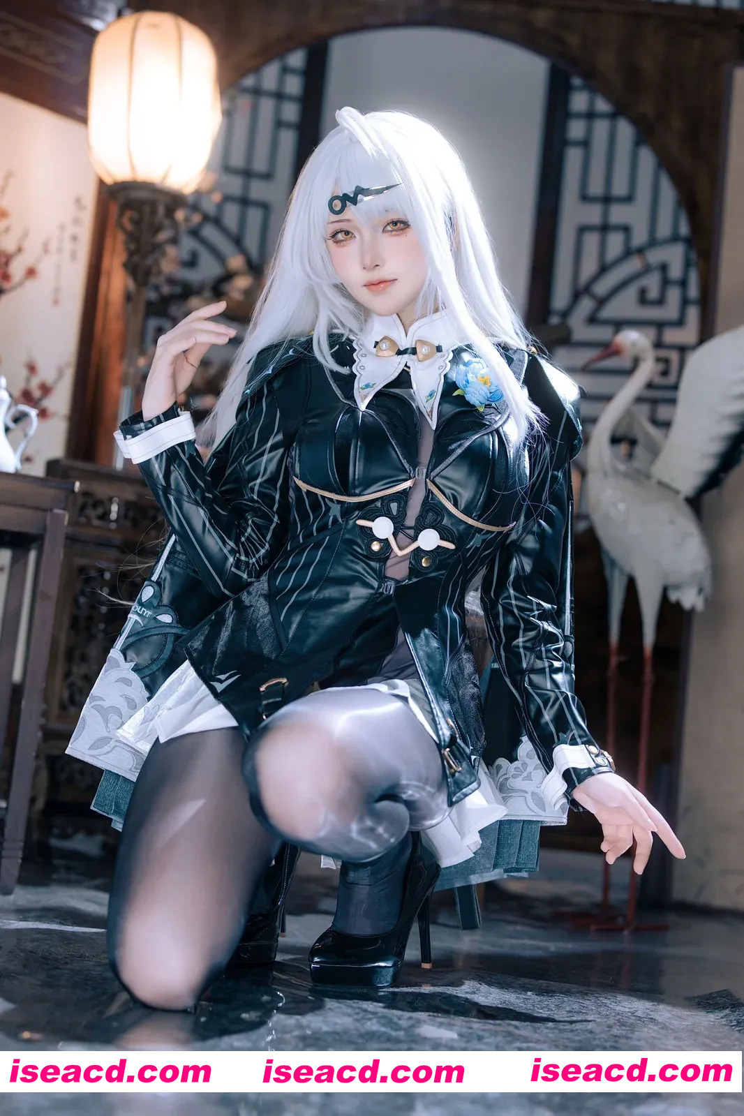 『套图』绝区零 仪玄 墨形影踪 – 屿鱼[50P 124MB]