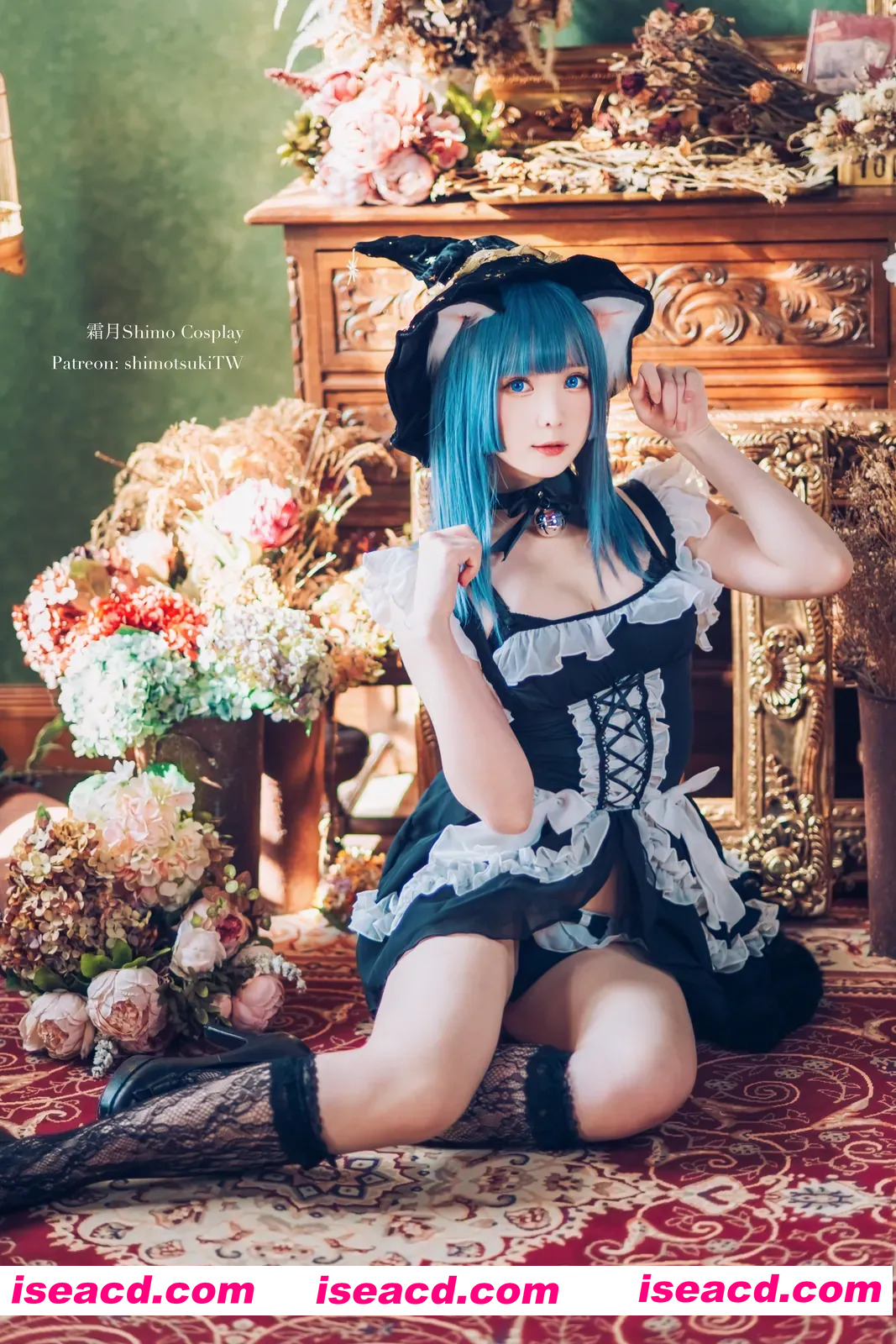 『套图』原猫女巫 – 霜月shimo[14P 293MB]