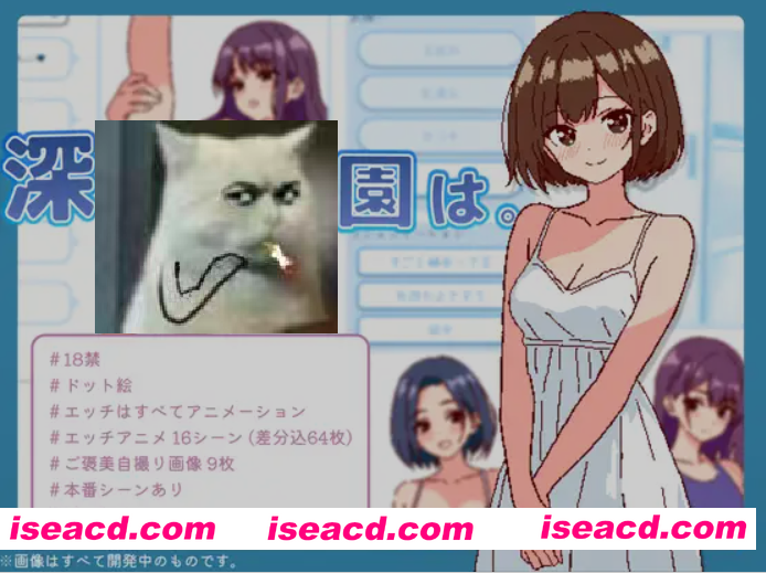 [日式经营SLG/中文] 深夜学园 深夜、学園は。v1.10 DL官方中文版 [500M/新作]