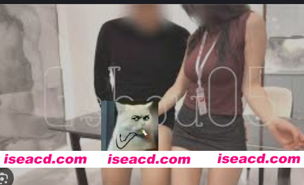 [视频/步兵] 推特福利姬：Gshou05 F罩杯大奶御姐黑丝连裤袜本垒 [1V] [1.3G]